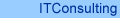 IT Consulting Services
